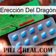 Erección Del Dragón new03